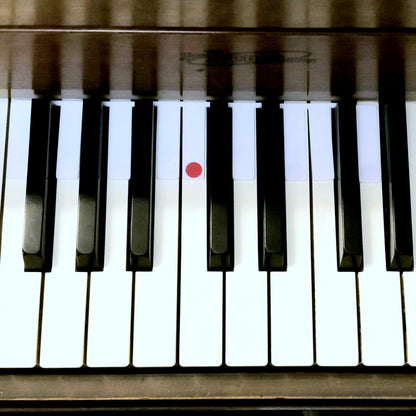 CHORD HELPERS - No Stickers Ever Again!
